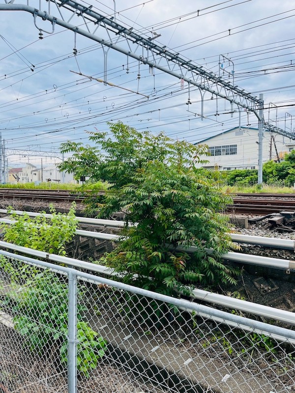 ⑤設計検査
